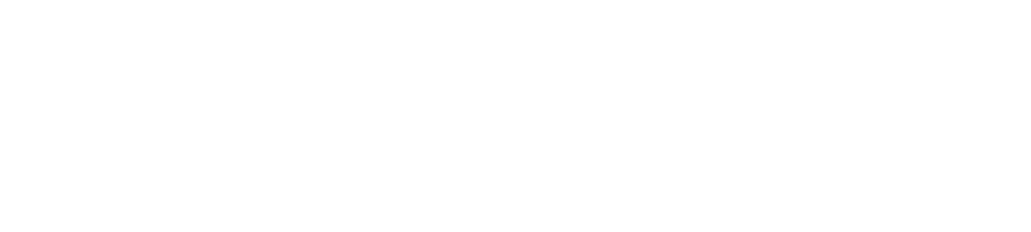 LOTLOT.NET filigranı